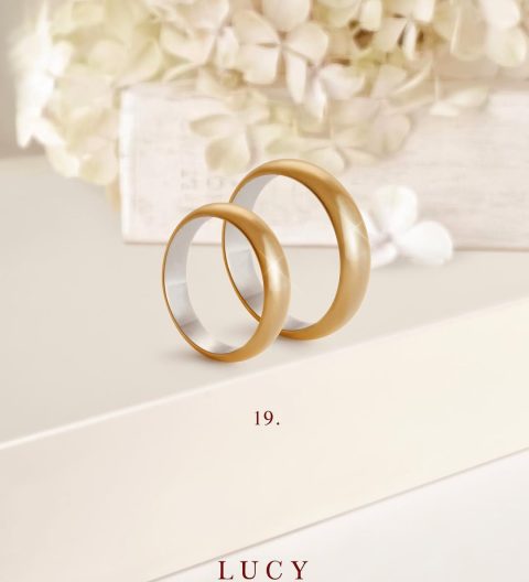 anillo-compromiso19